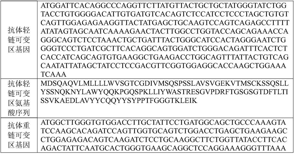 Novel coronavirus single-chain antibody, quality control product and preparation method