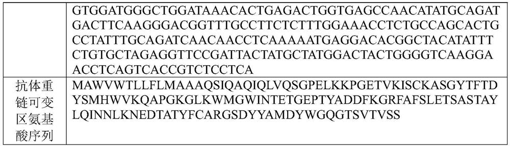 Novel coronavirus single-chain antibody, quality control product and preparation method