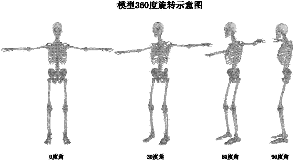 Human body structure digital analysis method and method and system for digital analysis of human body and pathology