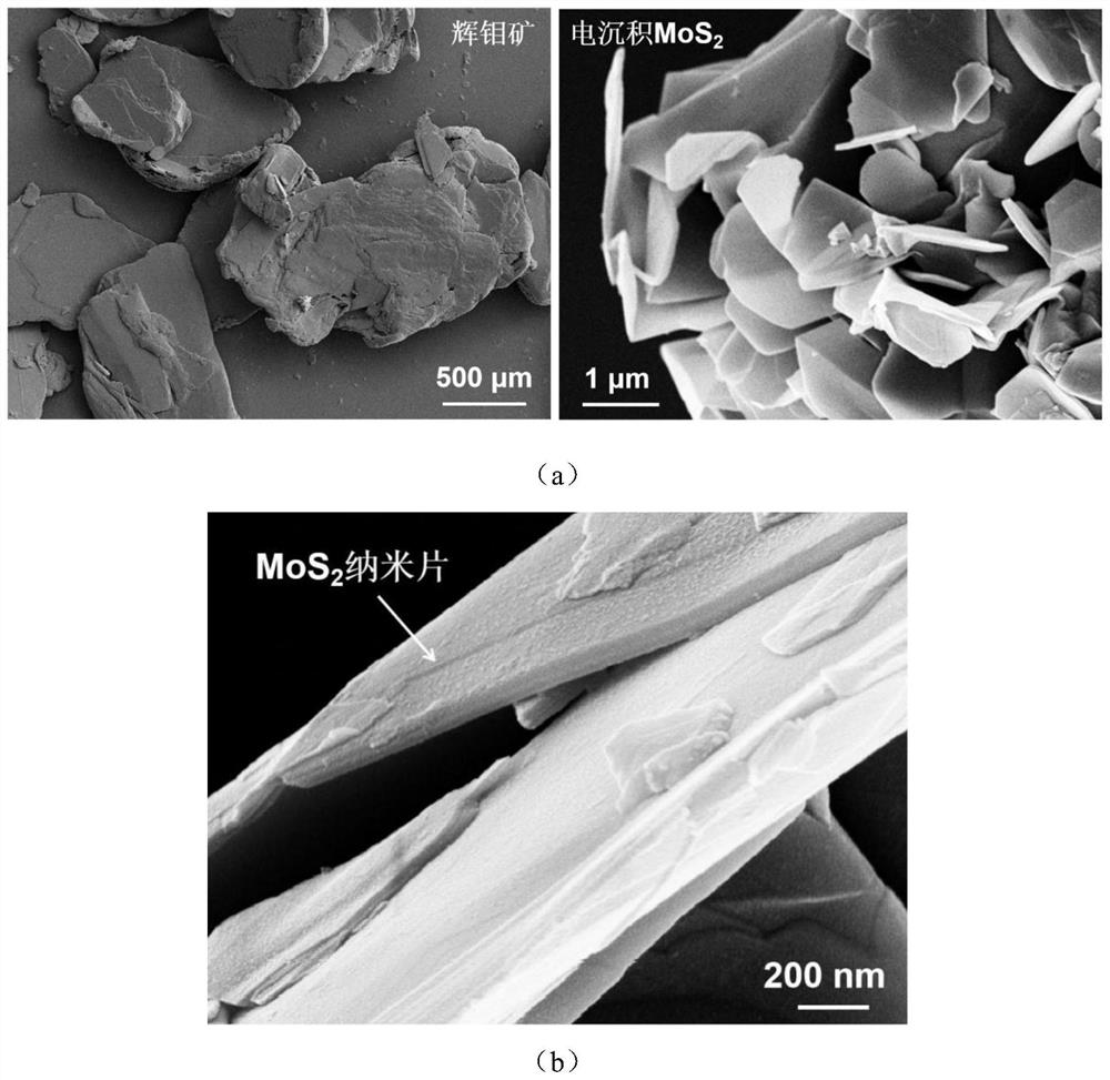 Electrochemical method for preparing high-purity molybdenum disulfide nanosheet from molybdenite