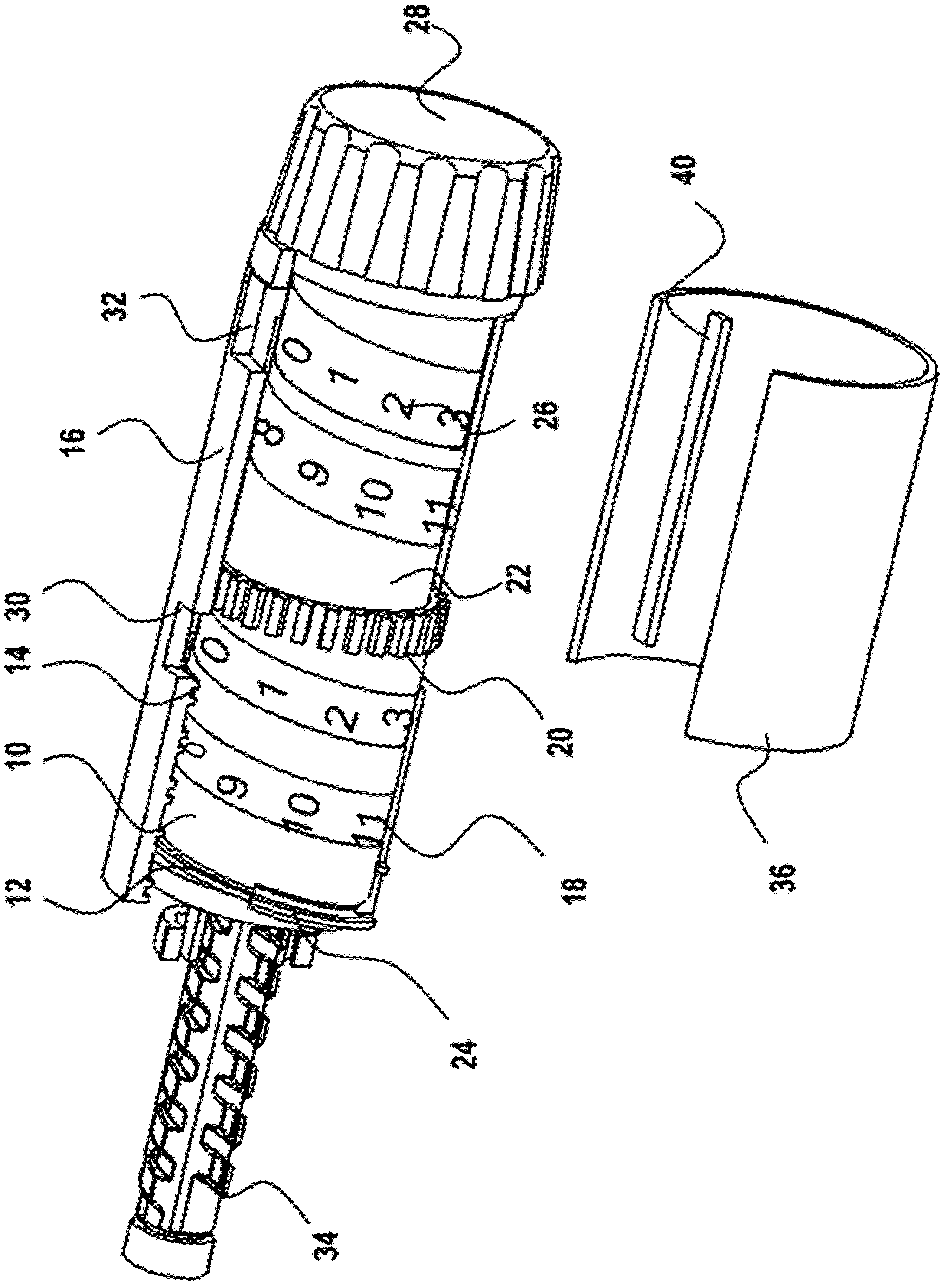 Dose setting mechanism