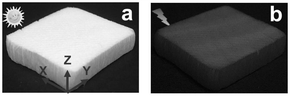 Fluorescent wood sponge, preparation method thereof and application of fluorescent wood sponge in hexavalent chromium ion detection and adsorption