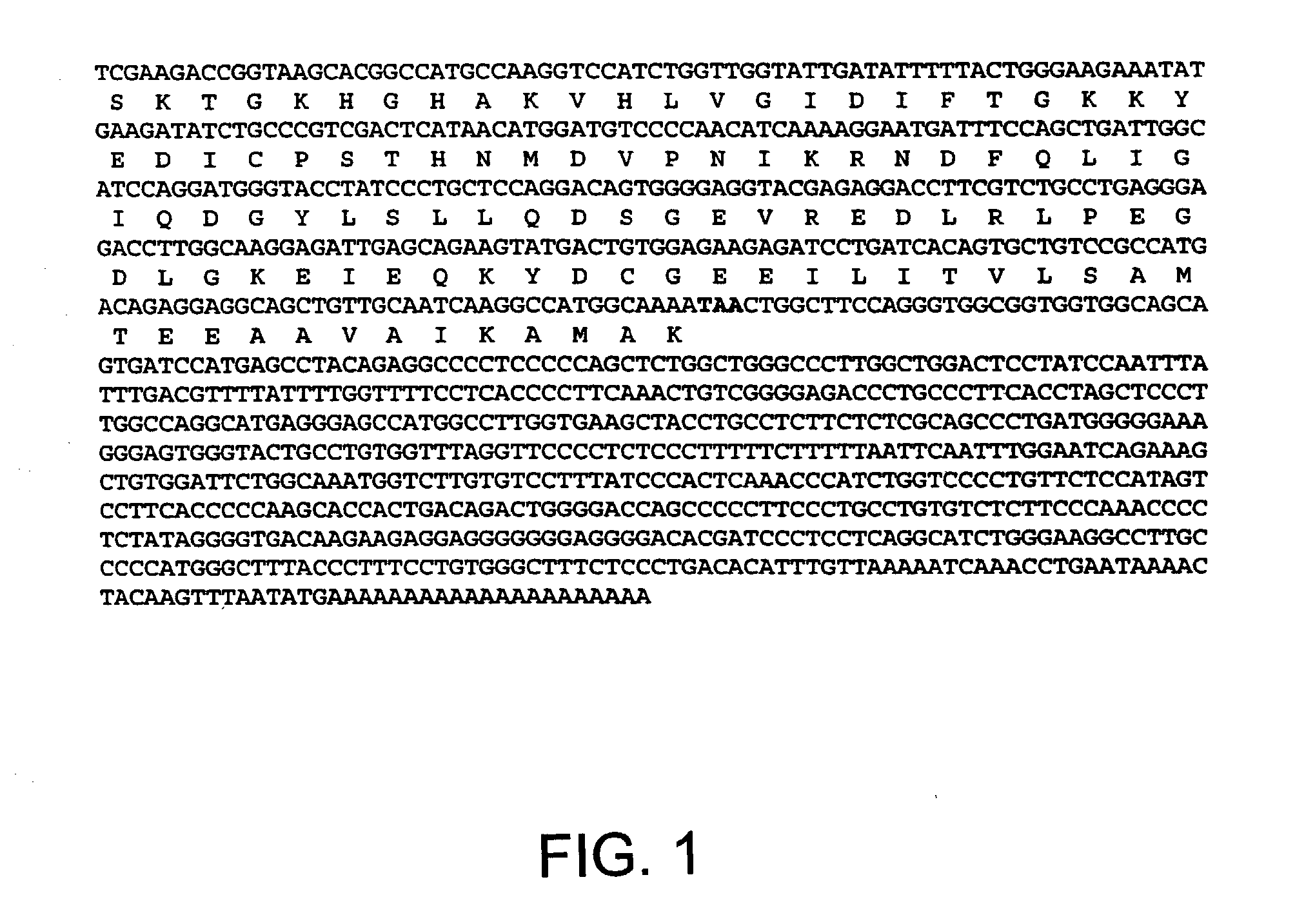 Nucleic acids, polypeptides, and methods for modulating apoptosis