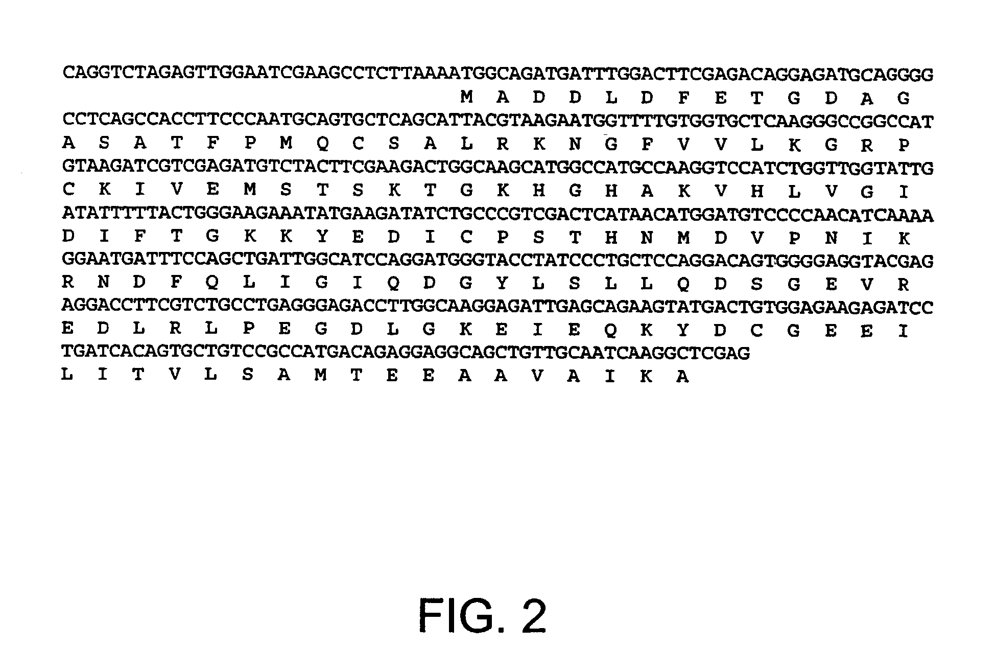 Nucleic acids, polypeptides, and methods for modulating apoptosis