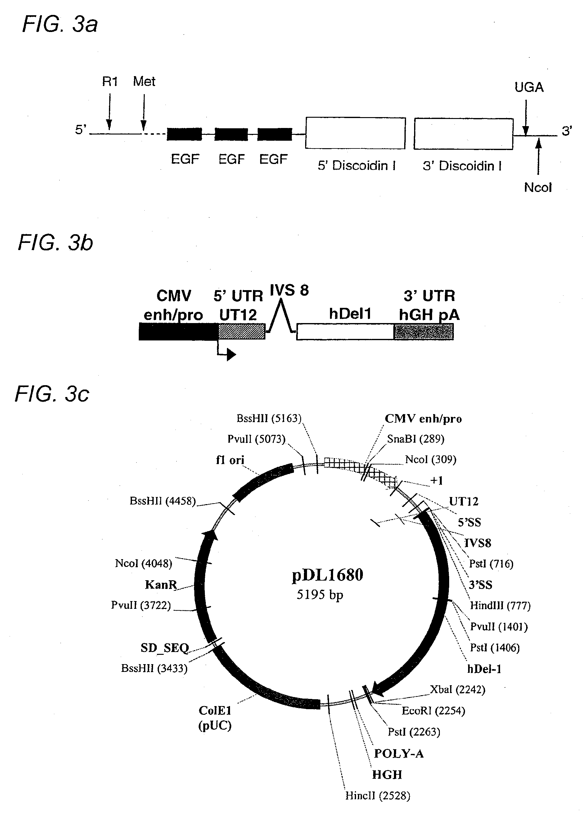 Gene delivery formulations and methods for treatment of ischemic conditions
