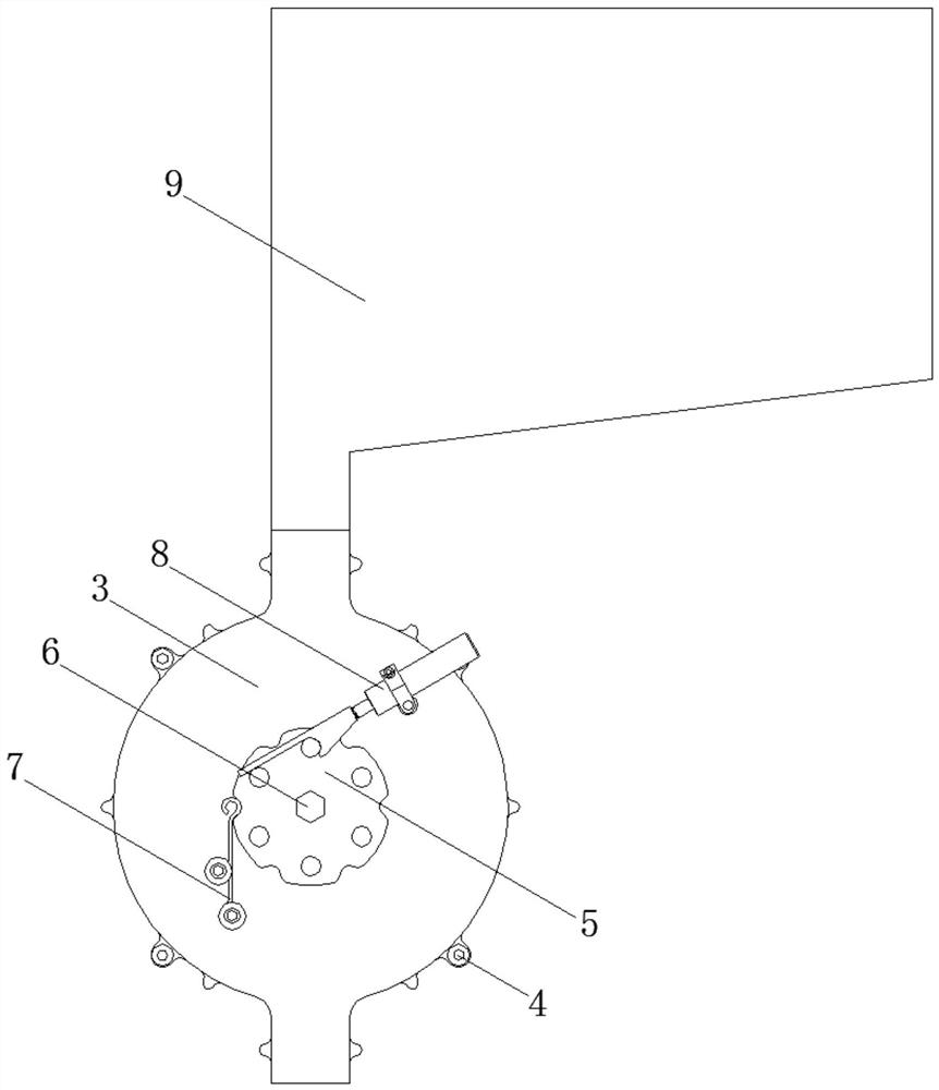 Seed sowing device for fruit planting