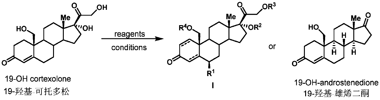 Preparation method of 19-hydroxylated cortodone derivatives and 19-hydroxyandrostenedione