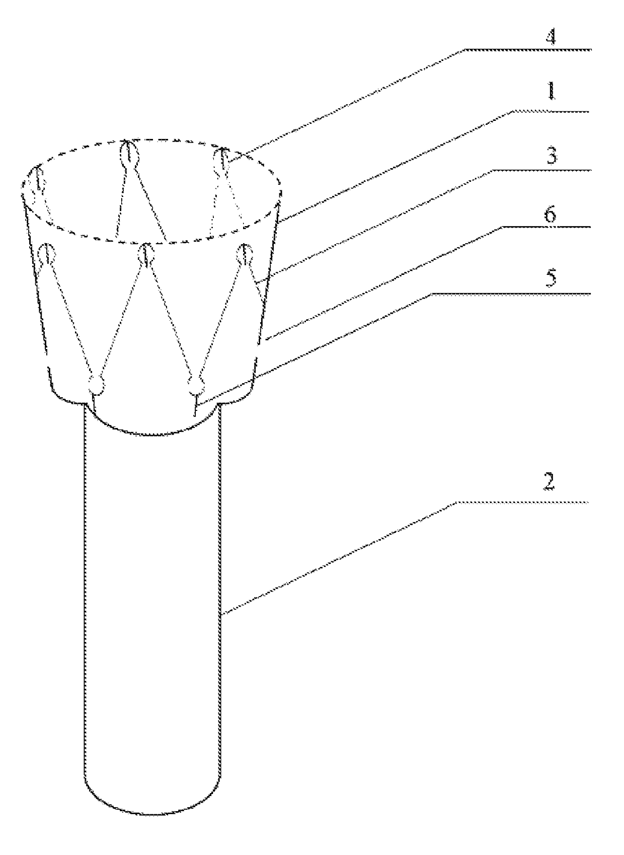 Internal covering membrane of duodenum