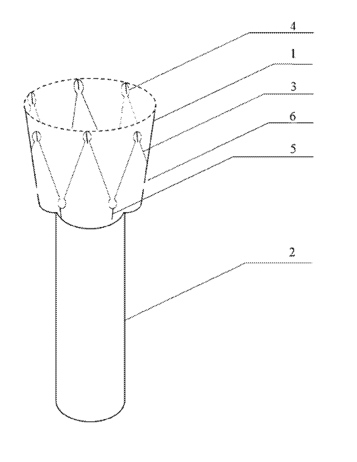 Internal covering membrane of duodenum