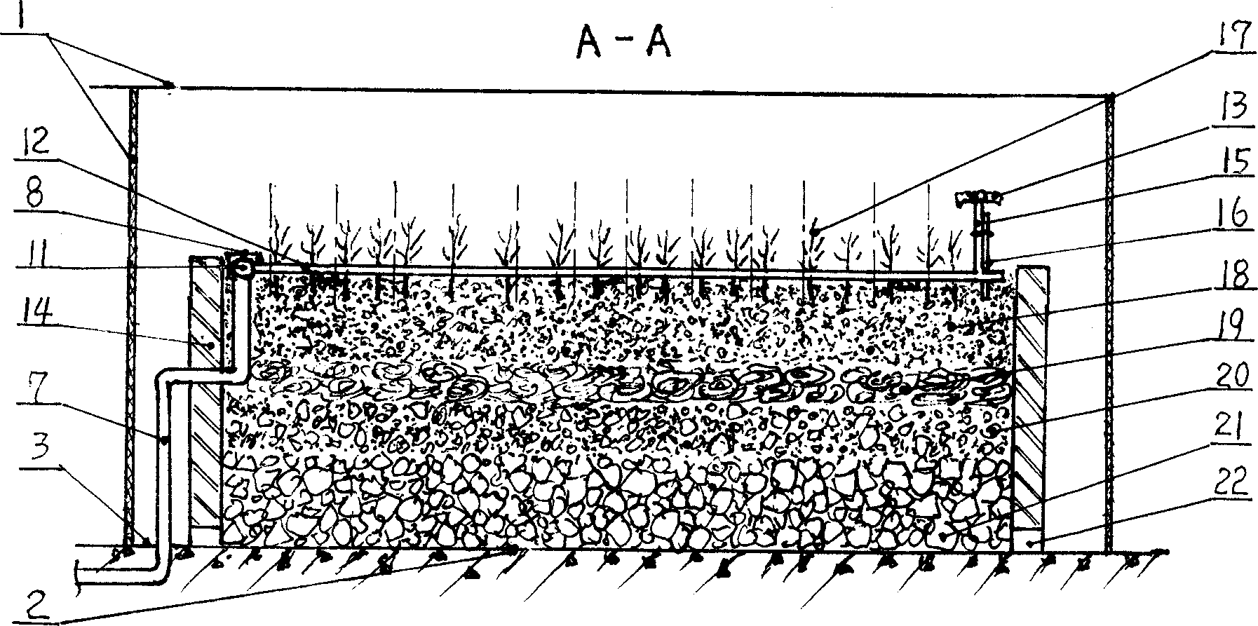 Method for breeding non-prick large-fruited sarch