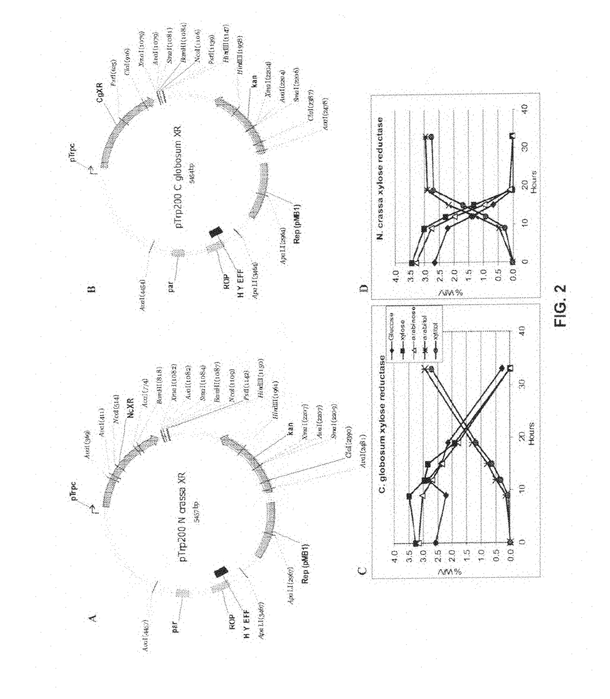 Production of xylitol from a mixture of hemicellulosic sugars