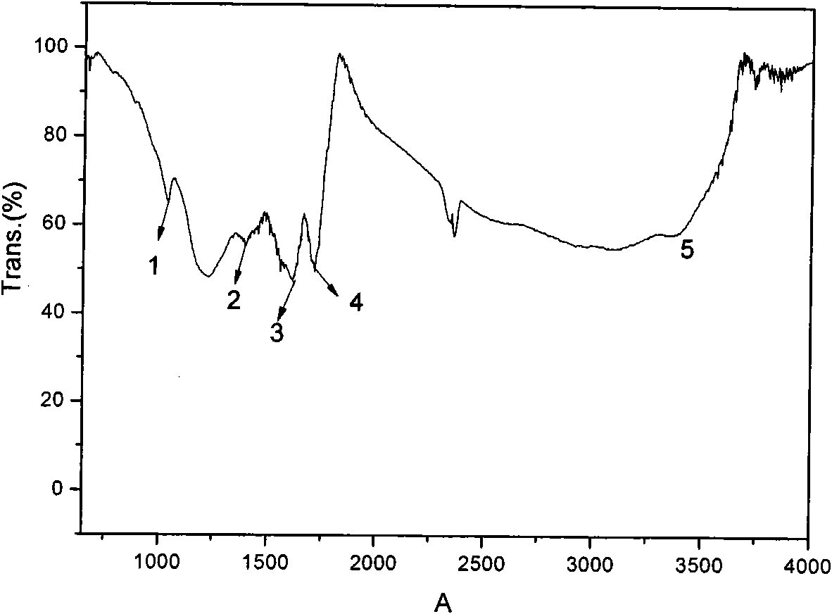 Preparation method of nanometer carbon-based solid acid