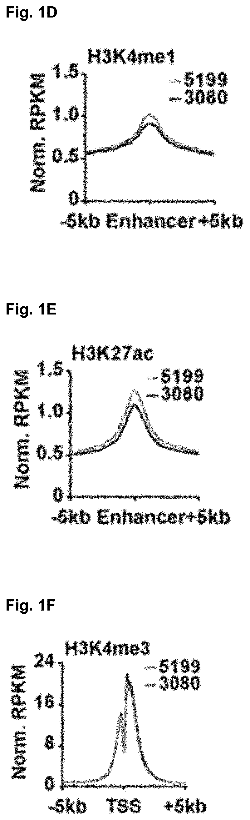 Compositions and methods for treating glioblastoma by modulating a mgmt enhancer