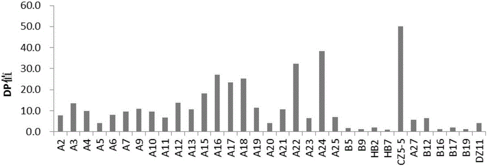 Aspergillus fumigatus strain Bfum-5 and application thereof