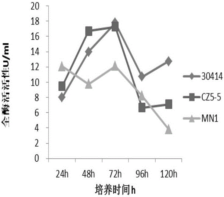 Aspergillus fumigatus strain Bfum-5 and application thereof