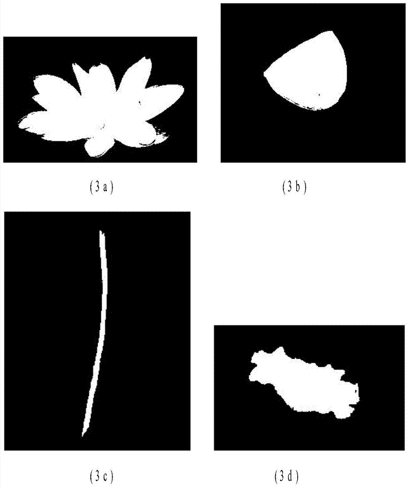 Lotus seedpod target image recognition method for picking robot