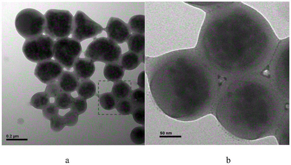 a grafted sio  <sub>2</sub> Preparation method of particle cluster orientation reinforced polyester fiber