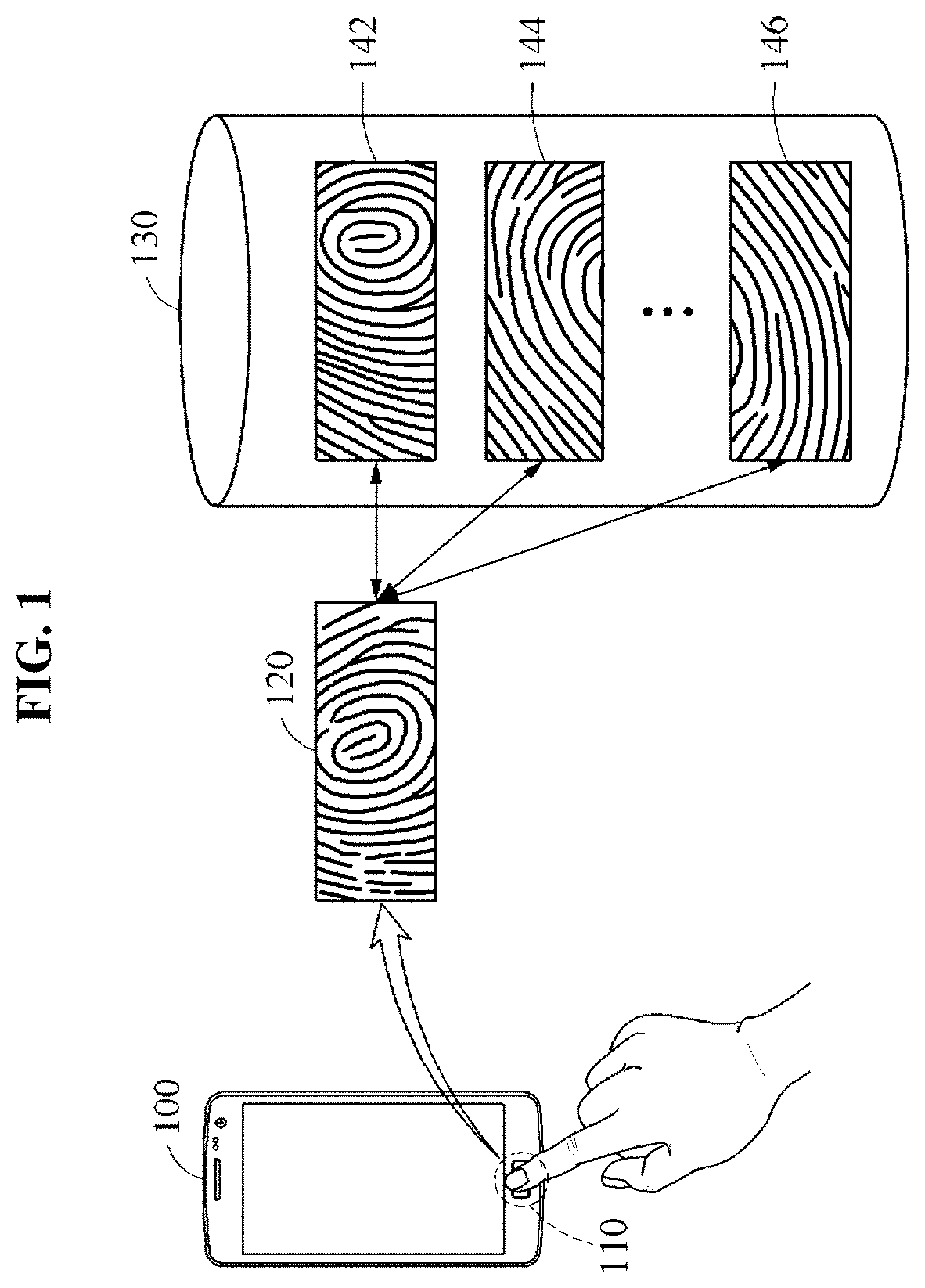 Fingerprint verification method and apparatus