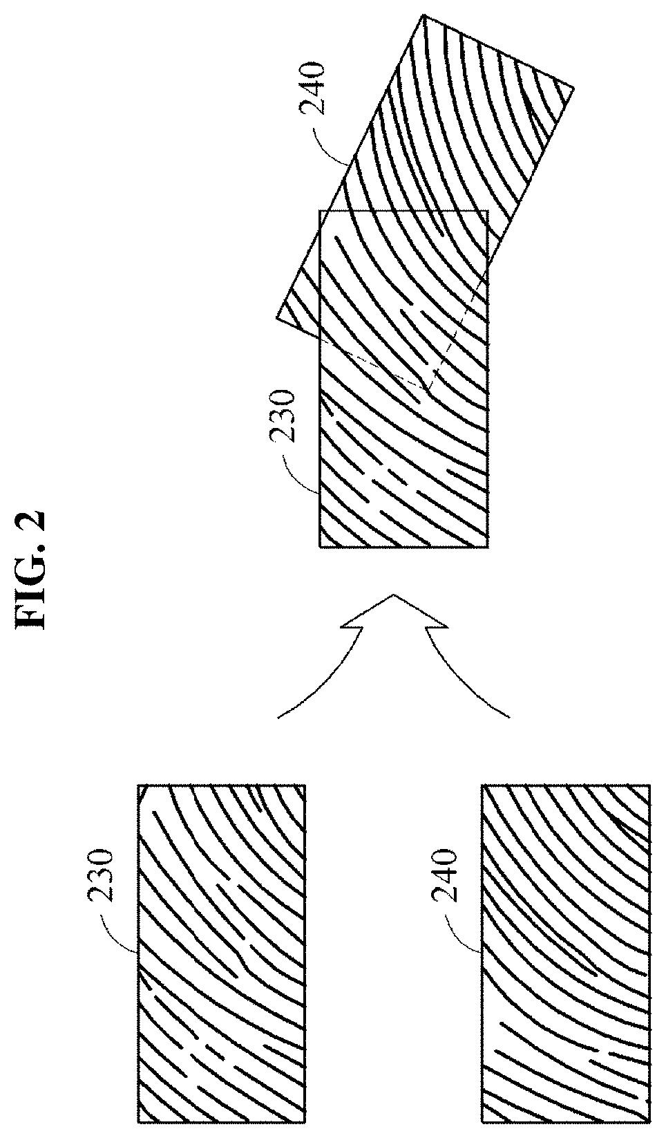 Fingerprint verification method and apparatus