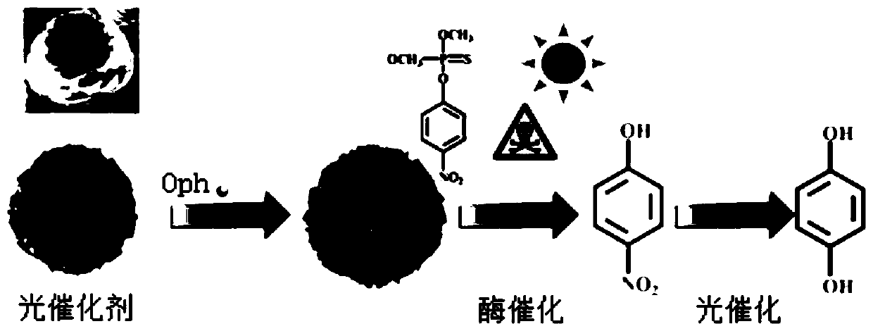 Photo-enzyme integrated nano-catalyst as well as preparation and application thereof