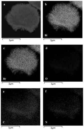 Photo-enzyme integrated nano-catalyst as well as preparation and application thereof