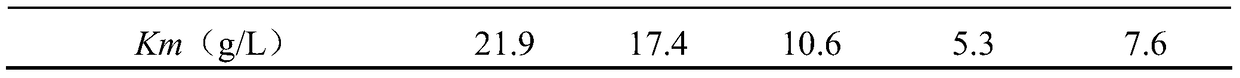 Application of Dextrin Molecular Weight Characteristics in Detecting Starch Liquefaction Effect