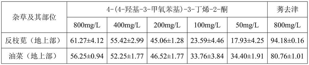 A kind of ferulic acid derivative and its application