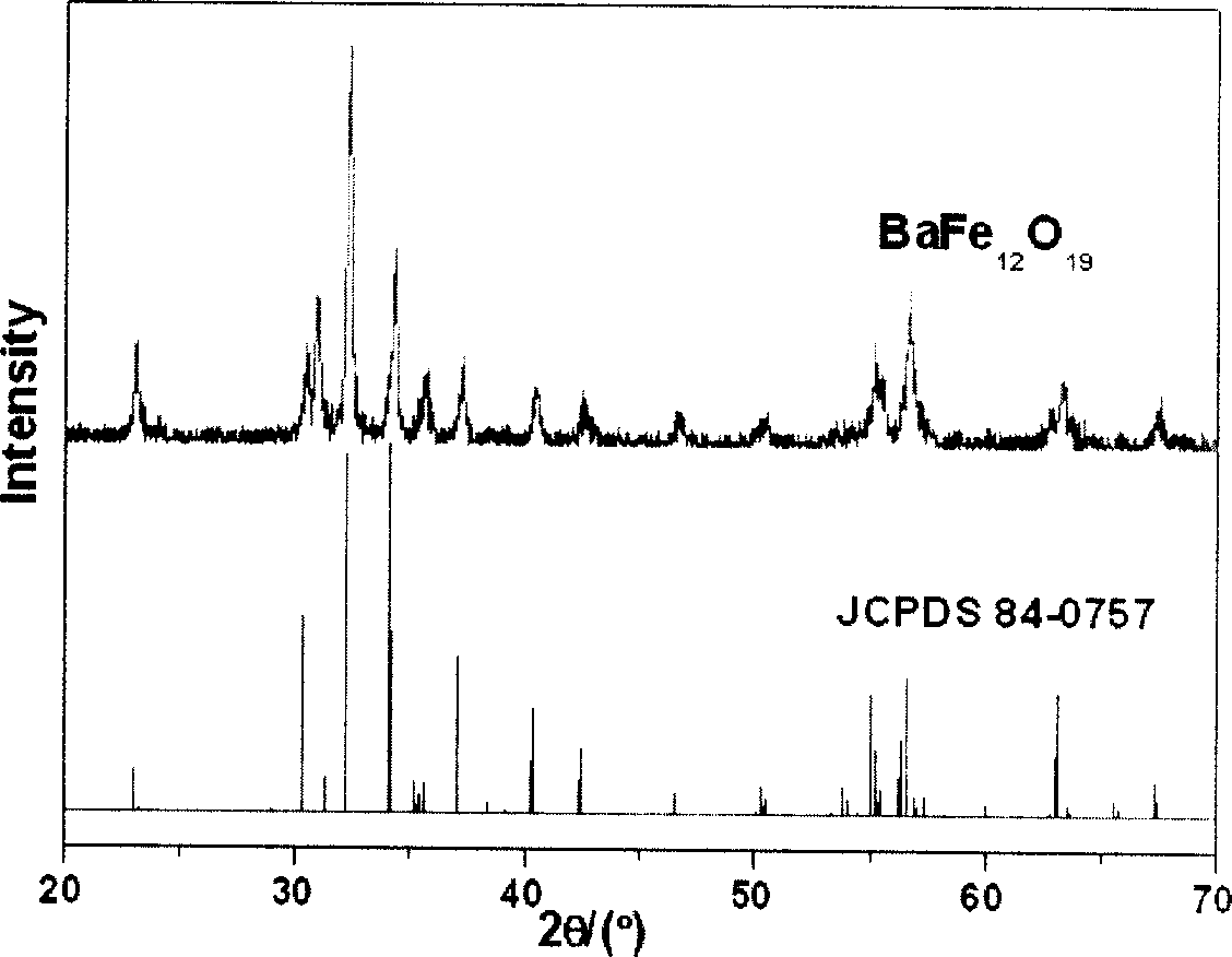 Quick preparing method for textured single phase hexagonal ferrite