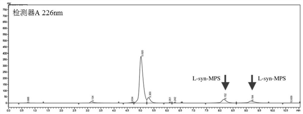 High-temperature-resistant L-threonine aldolase and application thereof to synthesis of p-methylsulfonyl phenyl serine
