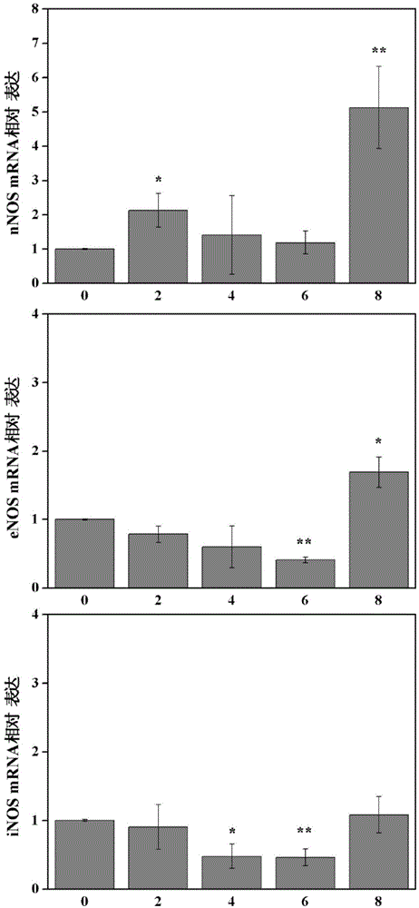 Heavy metal copper cytotoxicity detection method based on nitric oxide synthase NOS