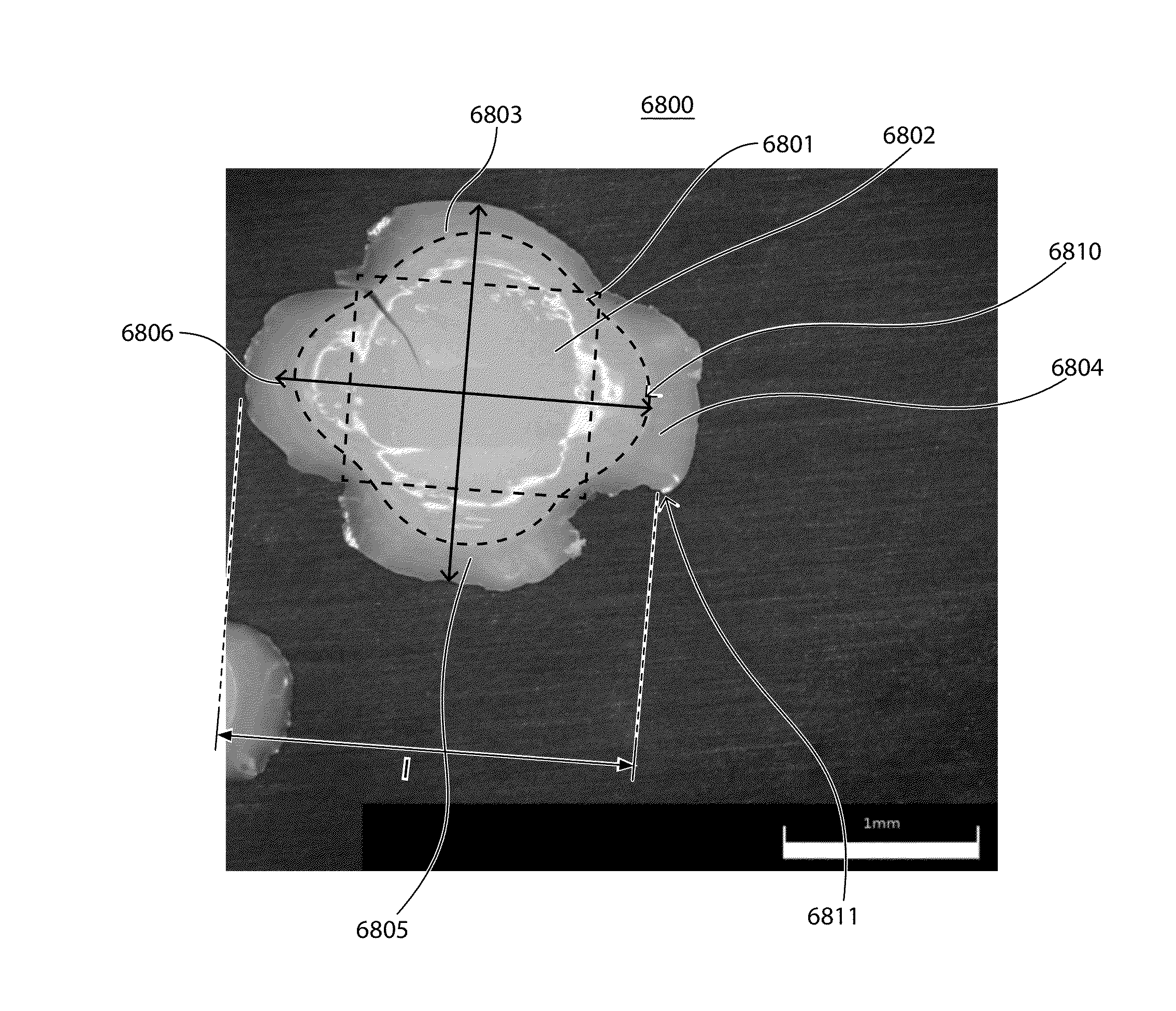 Abrasive particles having complex shapes and methods of forming same