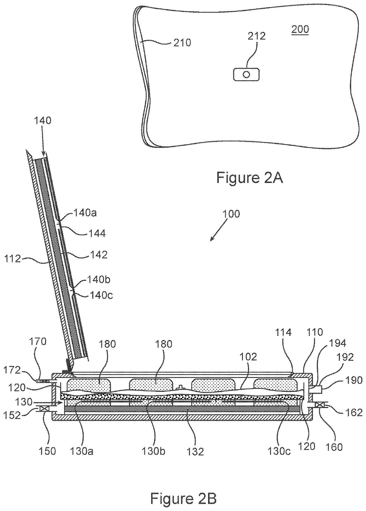 Device and method for herbs disinfection by plasma