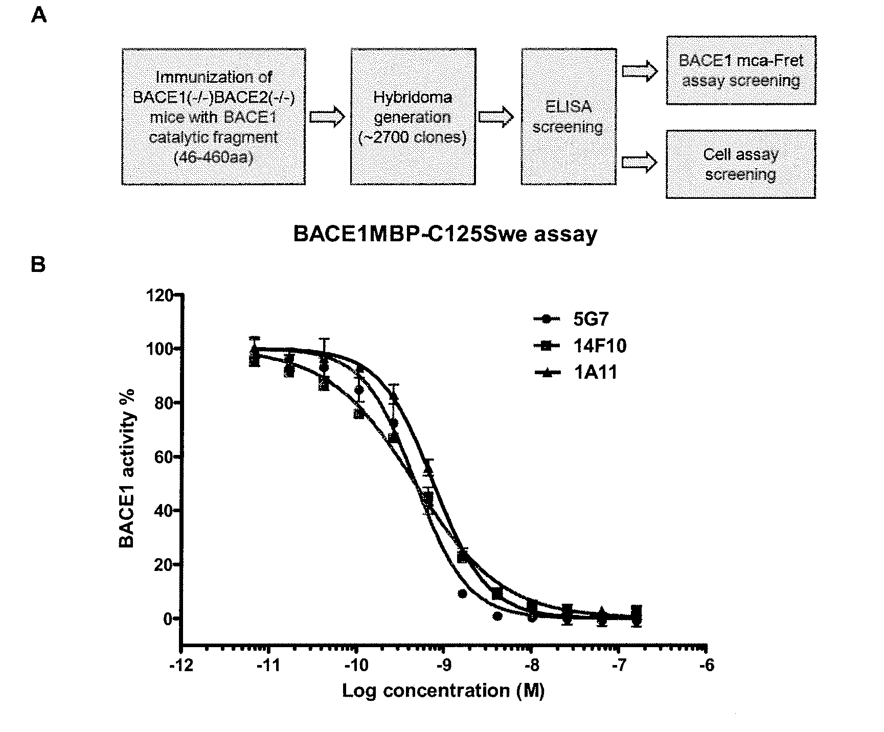 Bace1 inhibitory antibodies