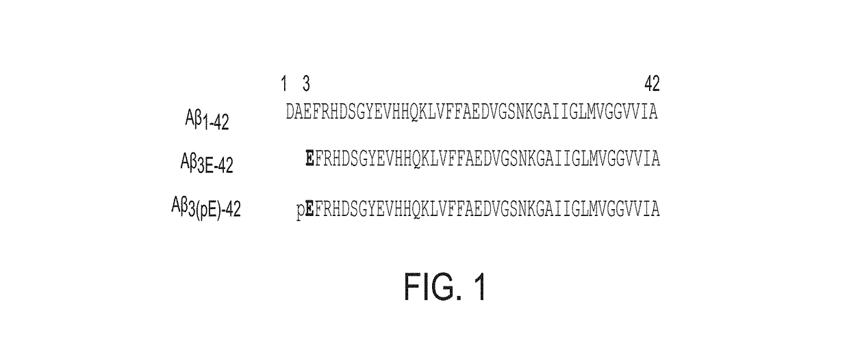 Antibodies to Pyroglutamate Amyloid-B and Uses Thereof