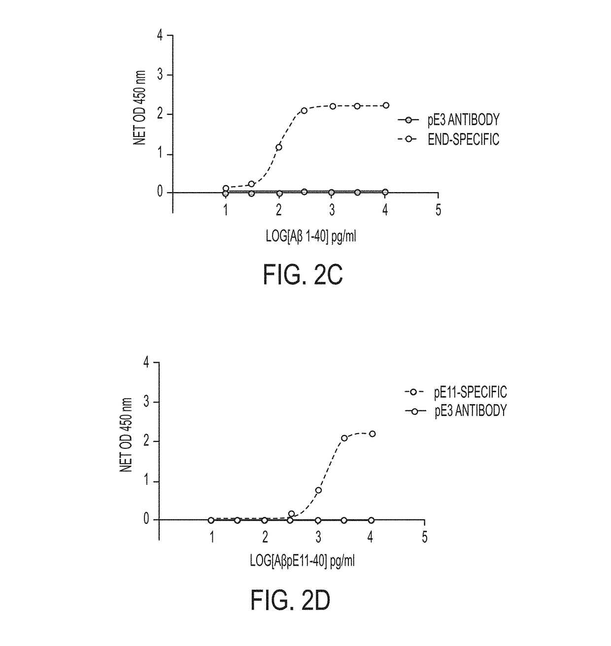 Antibodies to Pyroglutamate Amyloid-B and Uses Thereof