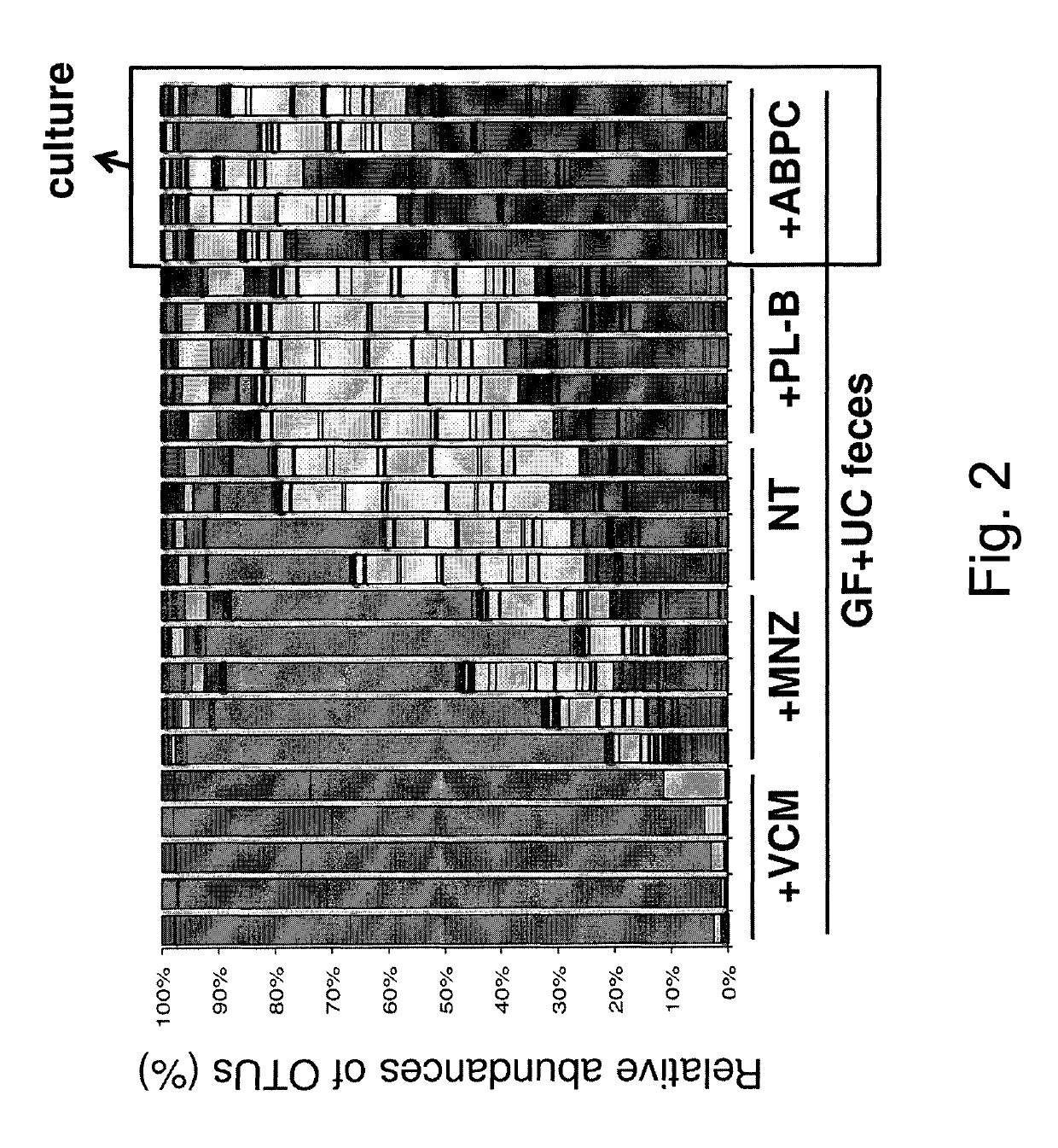 Compositions and methods for induction of TH17 cells