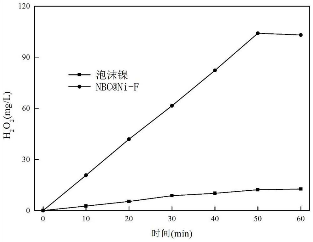 Preparation method of electro-Fenton cathode material based on sludge-based biomass charcoal as well as product and application of electro-Fenton cathode material