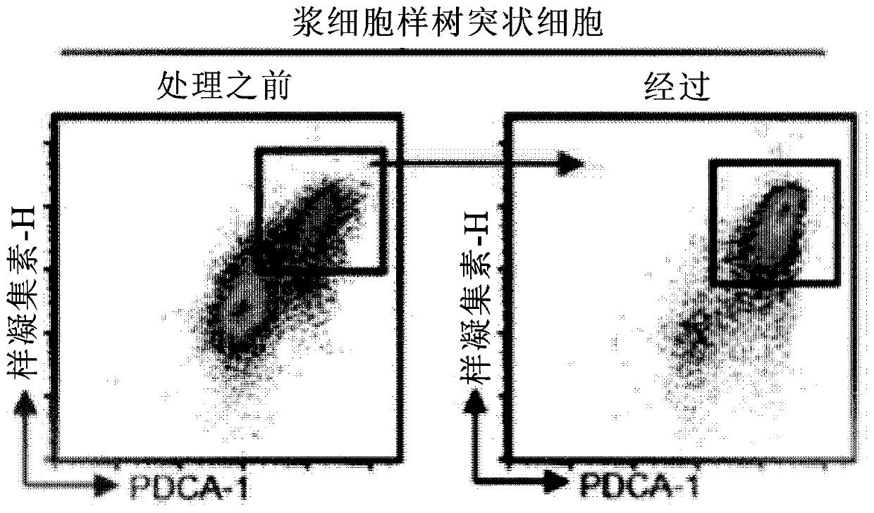 Plasmacytoid dendritic cells having immune tolerance, and method for producing same