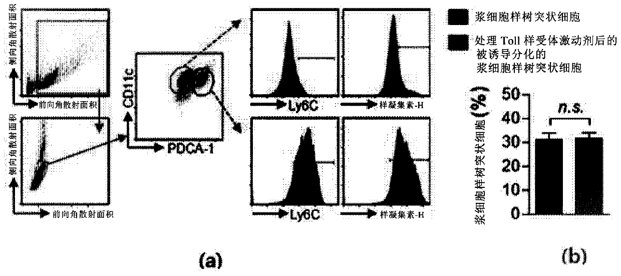 Plasmacytoid dendritic cells having immune tolerance, and method for producing same