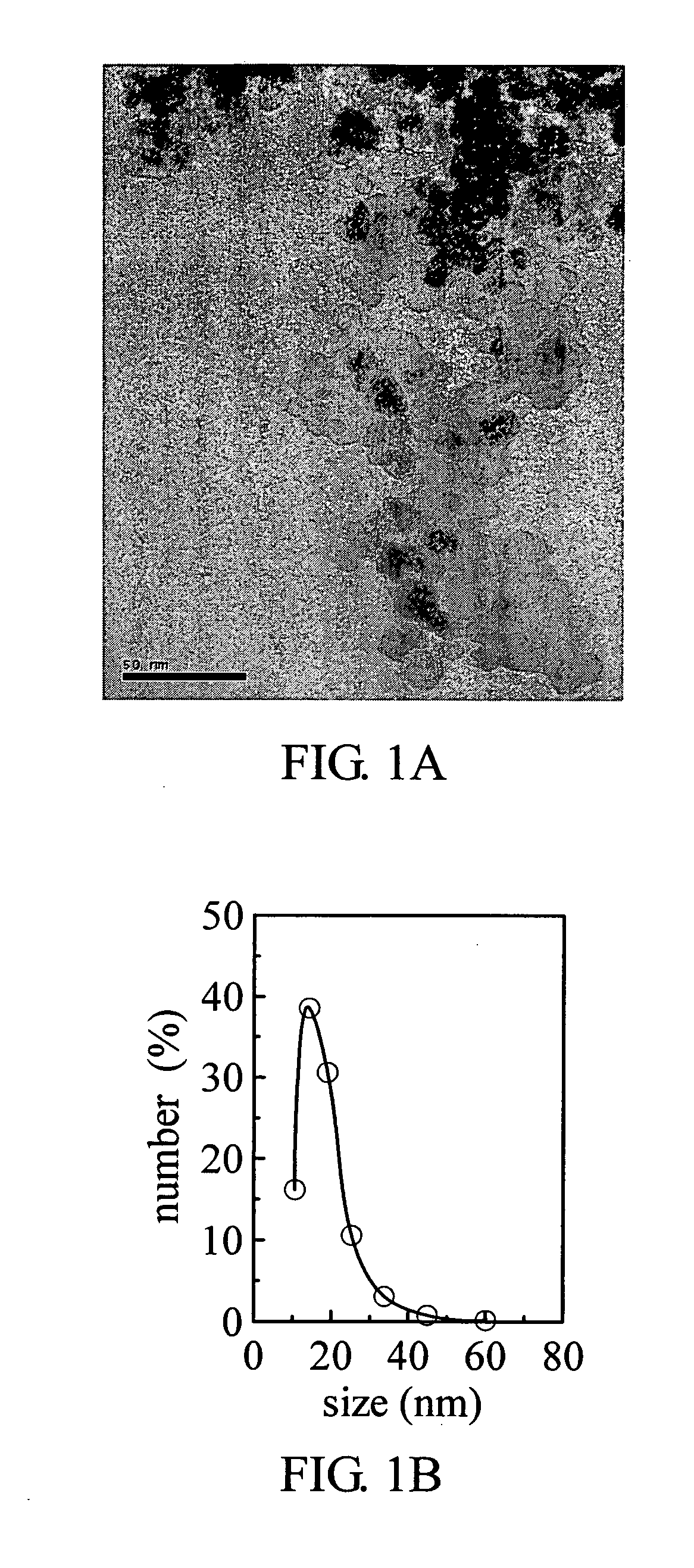 Magnetic nanoparticles and method for producing the same