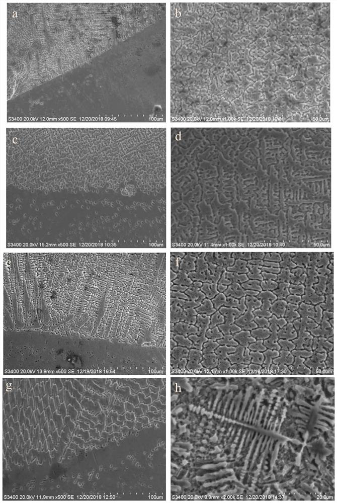 High temperature resistant self-lubricating coating on titanium alloy surface and preparation method thereof