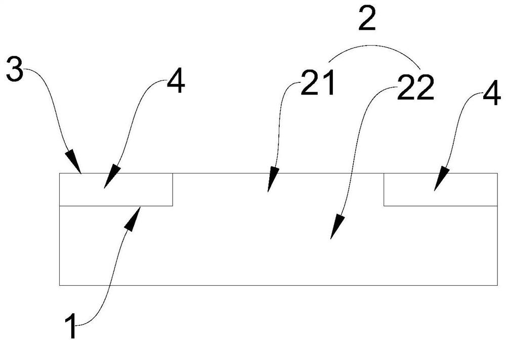 Wind scooper, heat dissipation device and server