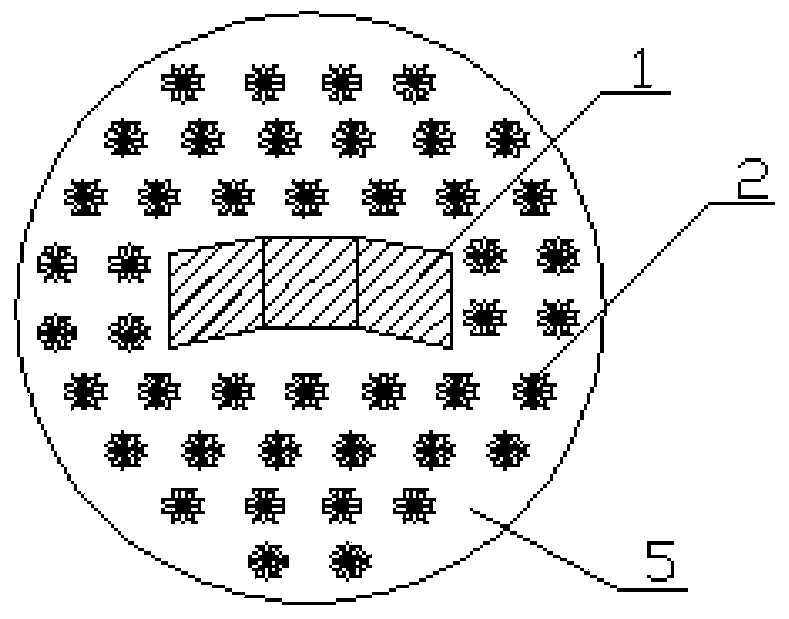 Solar aeration-plant bed supported device with biological membrane