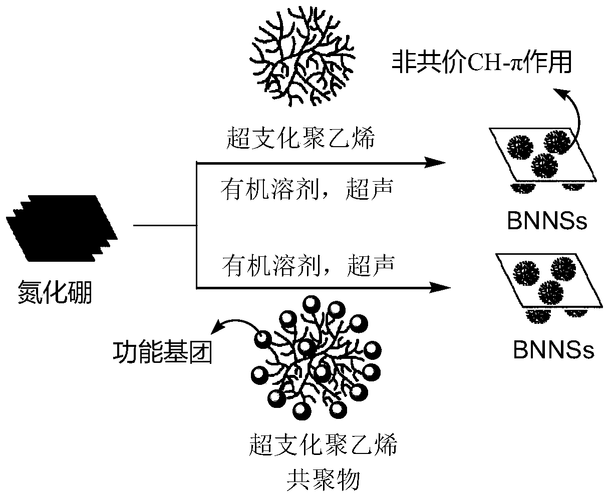 A kind of high-efficiency preparation method of boron nitride nanosheet and its organic dispersion