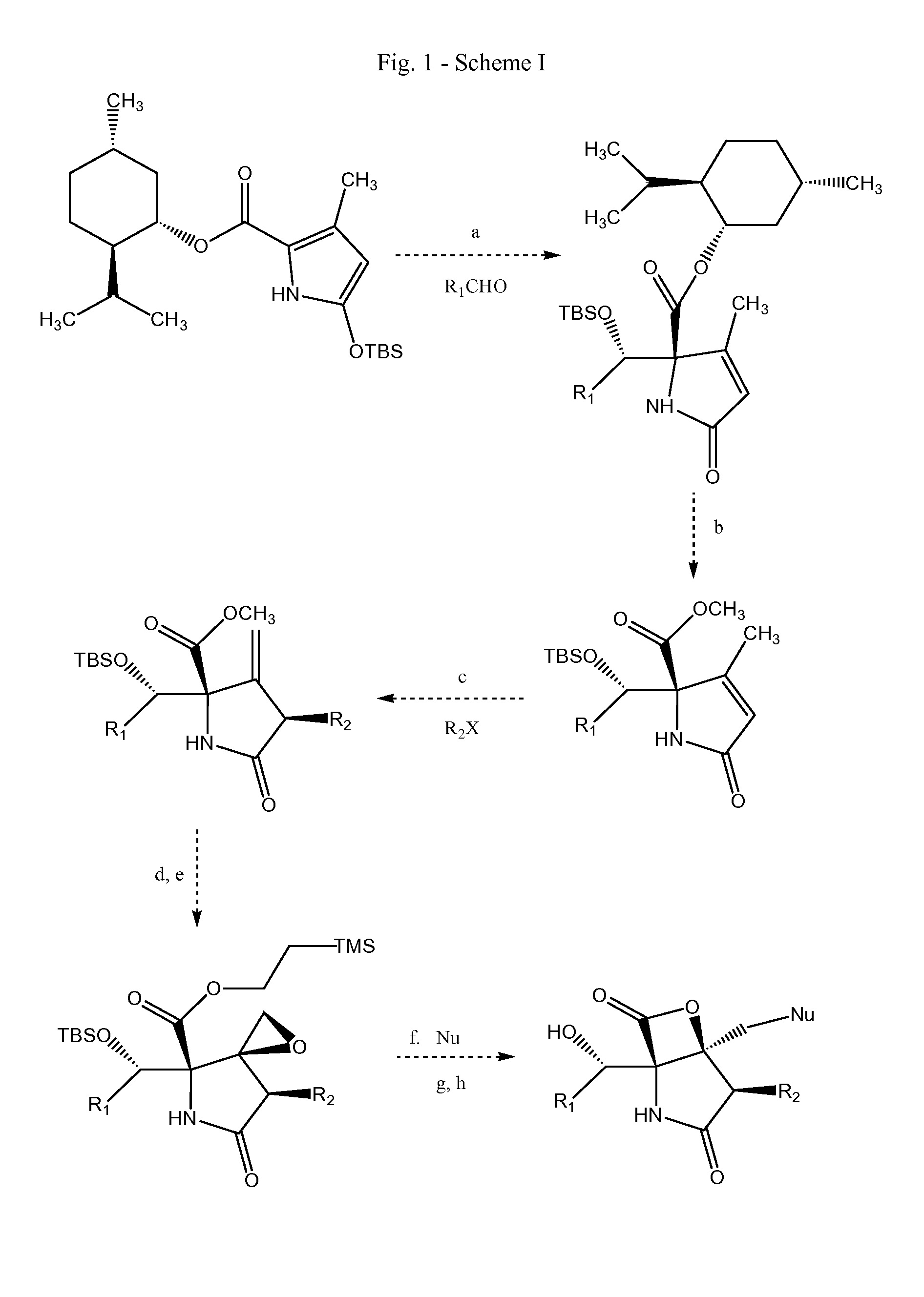 Analogs of salinosporamide a