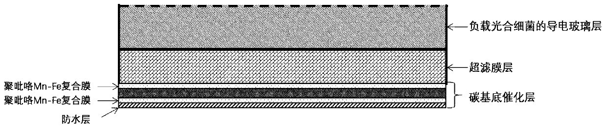 Thin-layer surface-flowing wastewater treatment carrier, and wastewater treatment and thallus recovery system and method