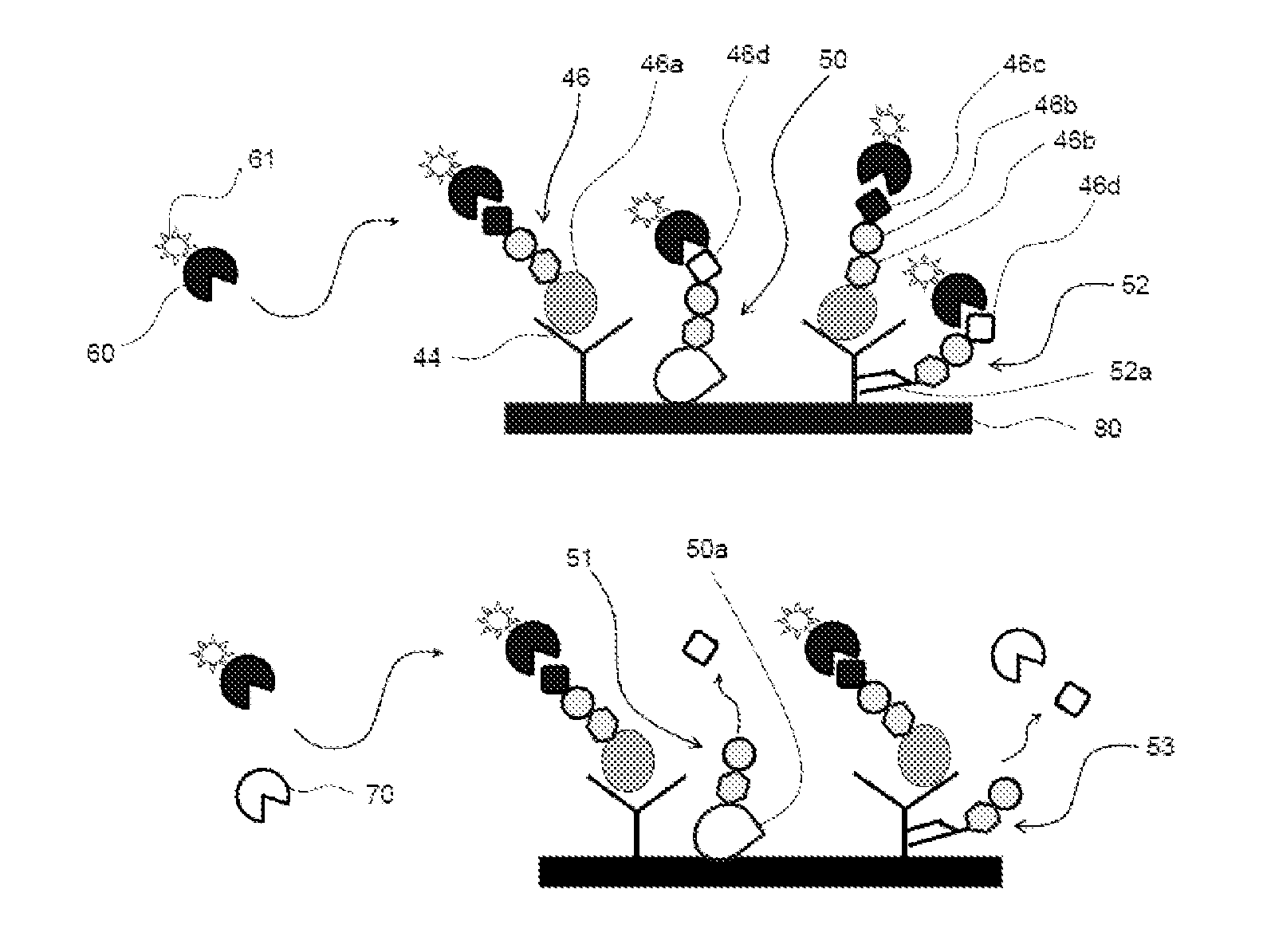 Antigen detection method which uses lectin and comprises enzyme treatment step