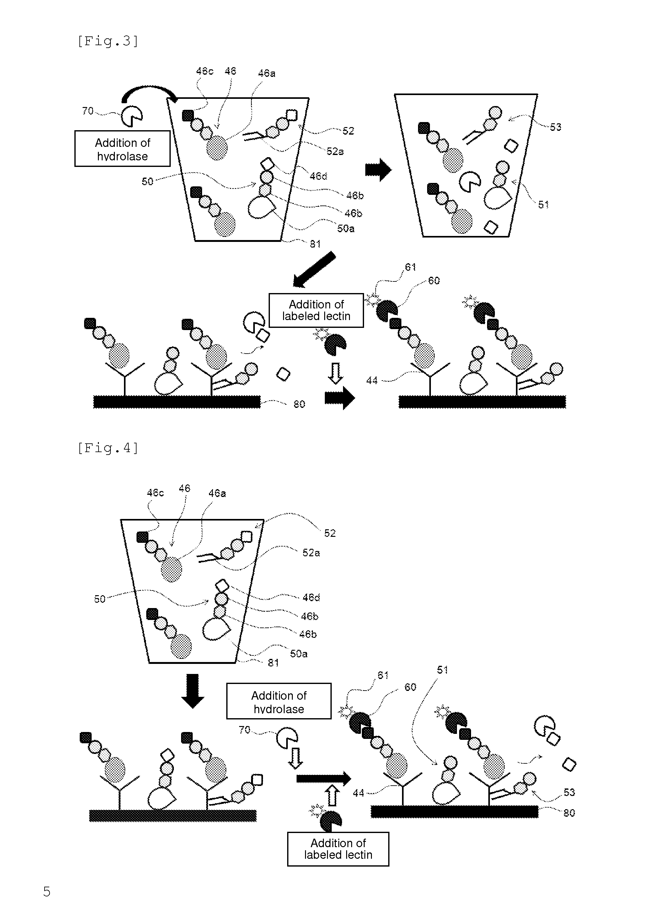 Antigen detection method which uses lectin and comprises enzyme treatment step