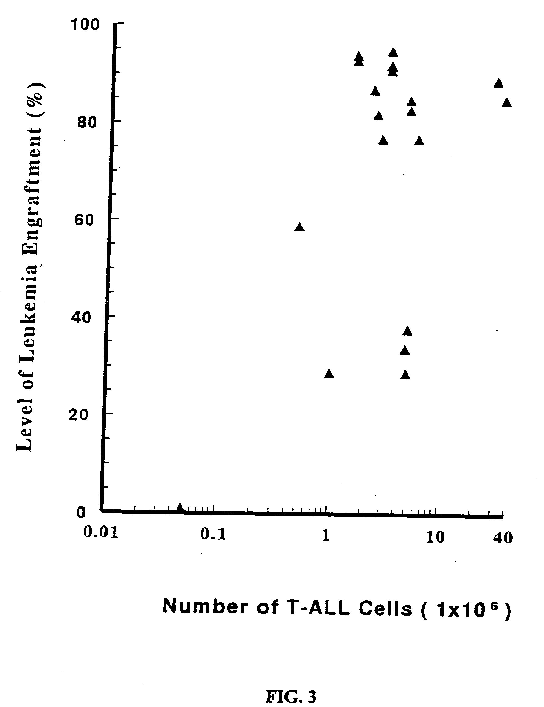 In vivo animal model of human leukemia