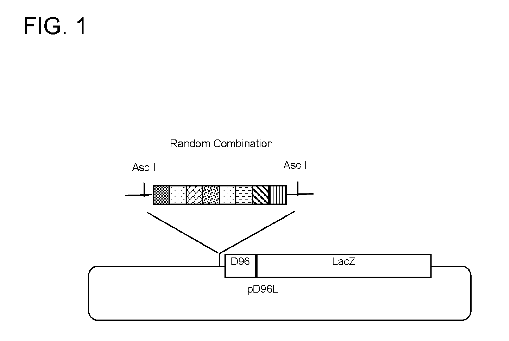 System for producing synthetic promoters